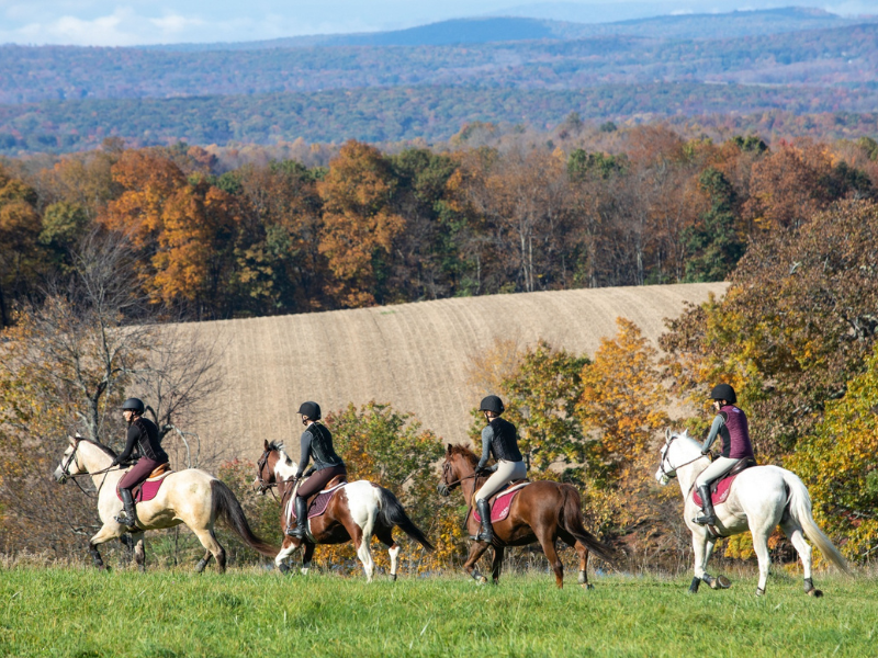 Equestrian