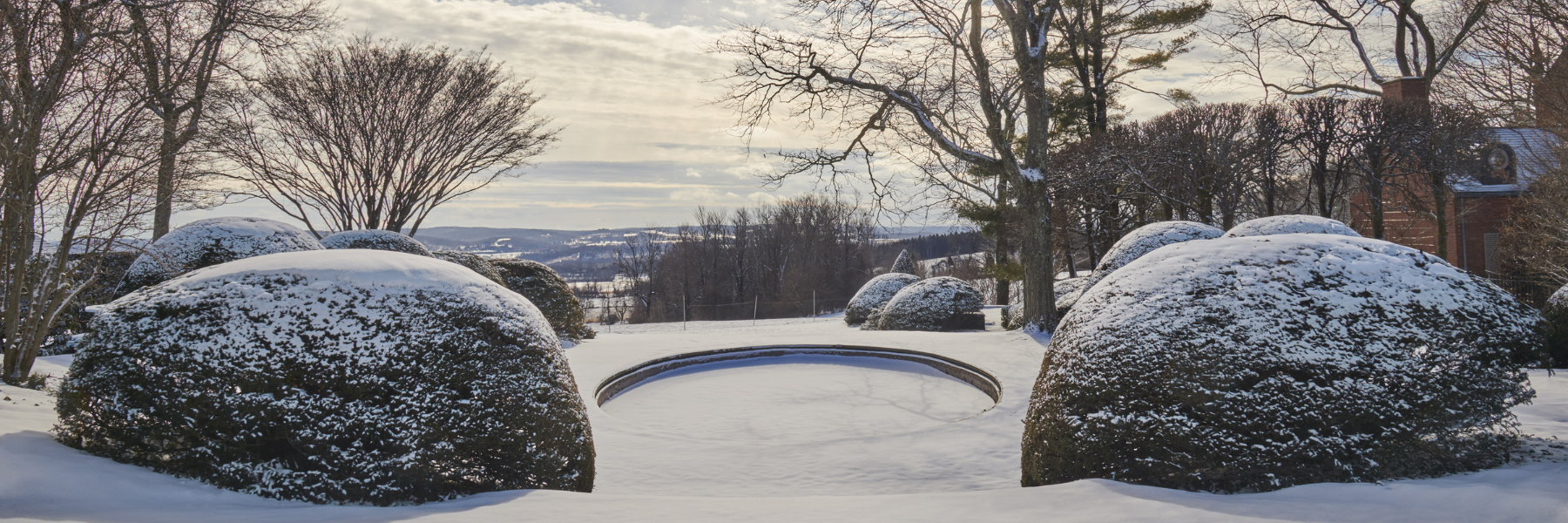 Winter Image 2