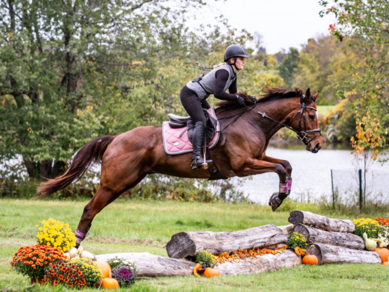 Equestrian Membership